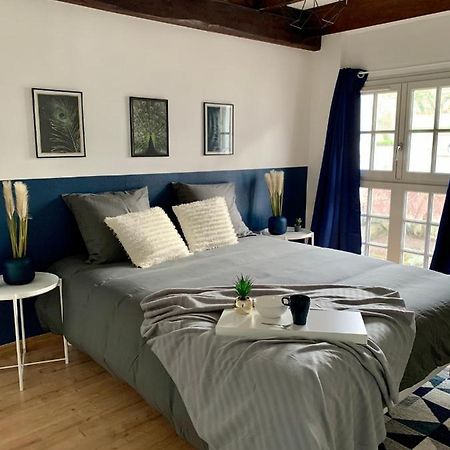 Appartement Les Bleuets - Centre Ville De Saumur Εξωτερικό φωτογραφία
