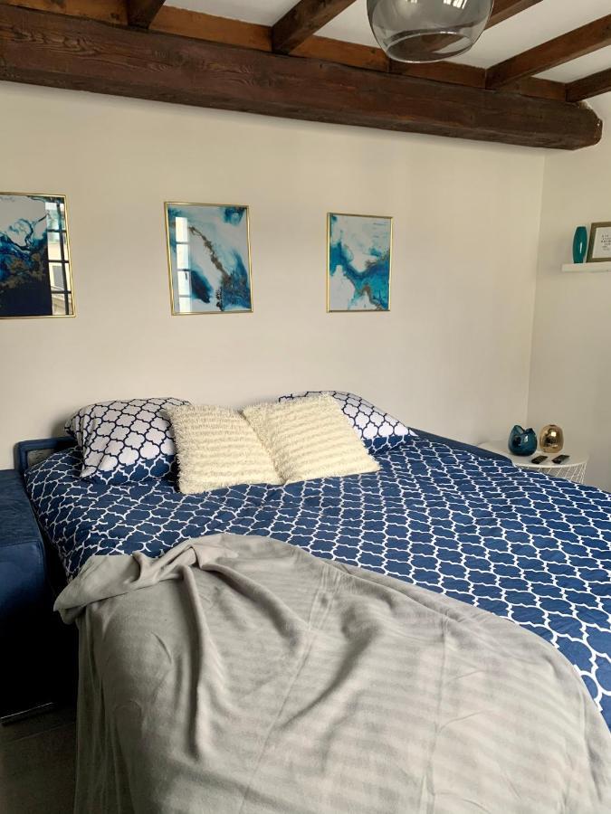 Appartement Les Bleuets - Centre Ville De Saumur Εξωτερικό φωτογραφία
